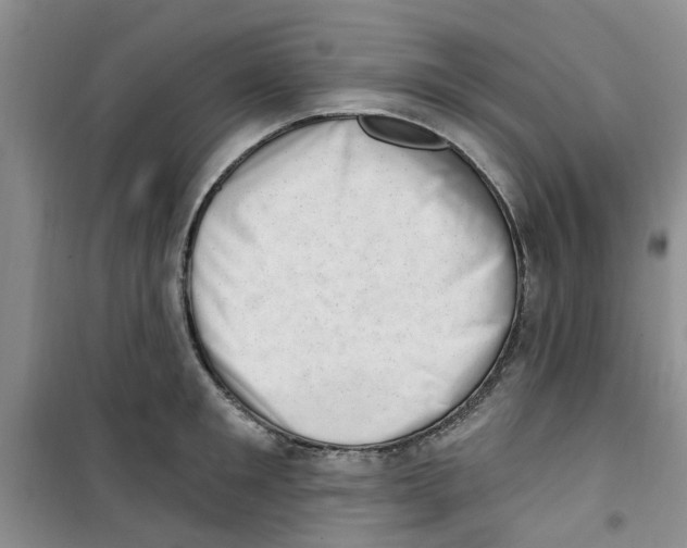 X0000100960901200807221142