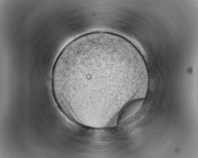 X0000100960903200807221142