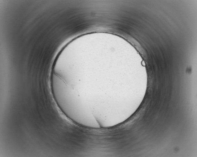 X0000100960904200807221142