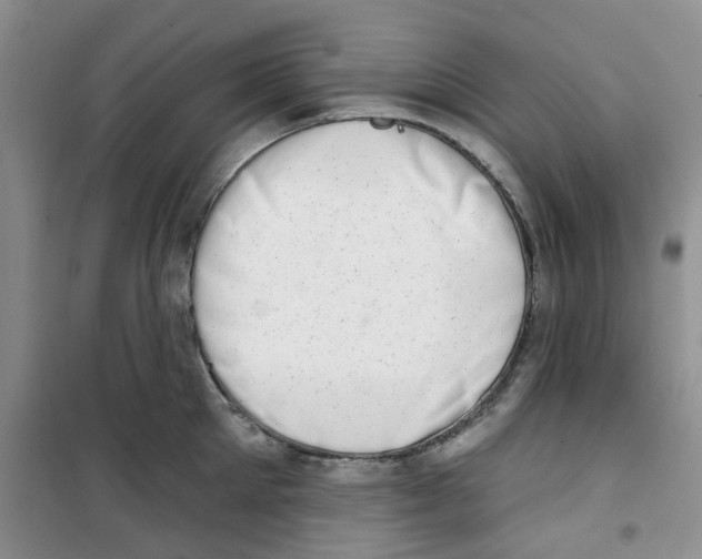 X0000100960905200807221142