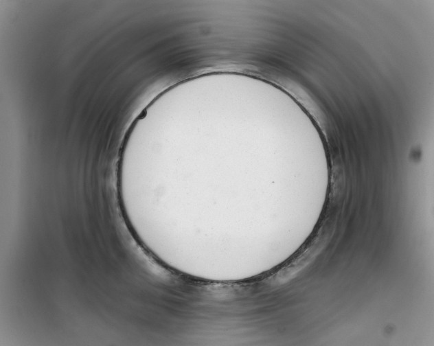 X0000100960906200807221142