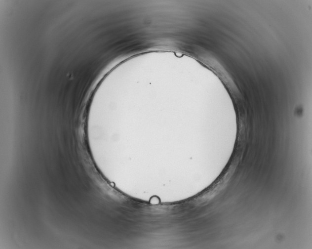 X0000100960908200807221142