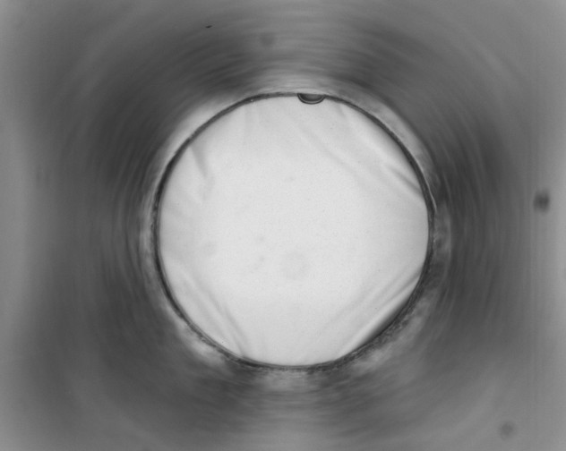 X0000100960909200807221142