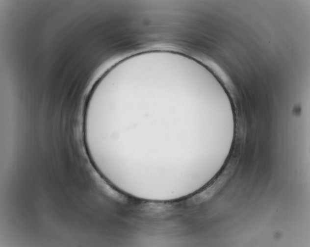 X0000100960910200807221142