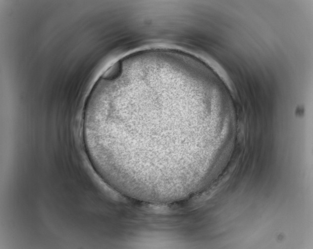 X0000100960911200807221142