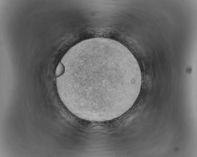 X0000100960913200807221141