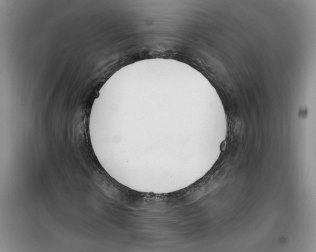 X0000100960914200807221141