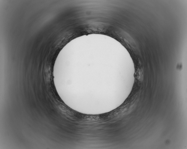 X0000100960915200807221141