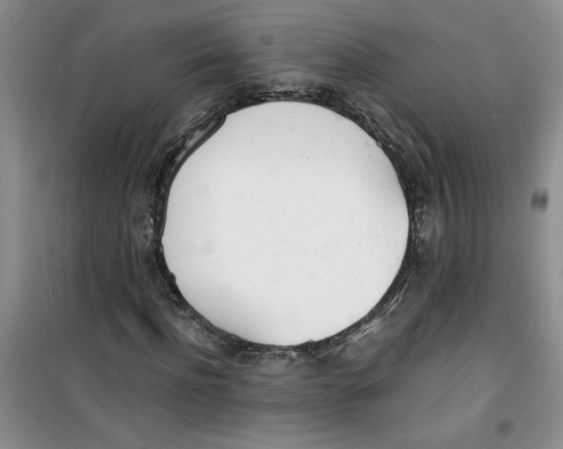 X0000100960916200807221141