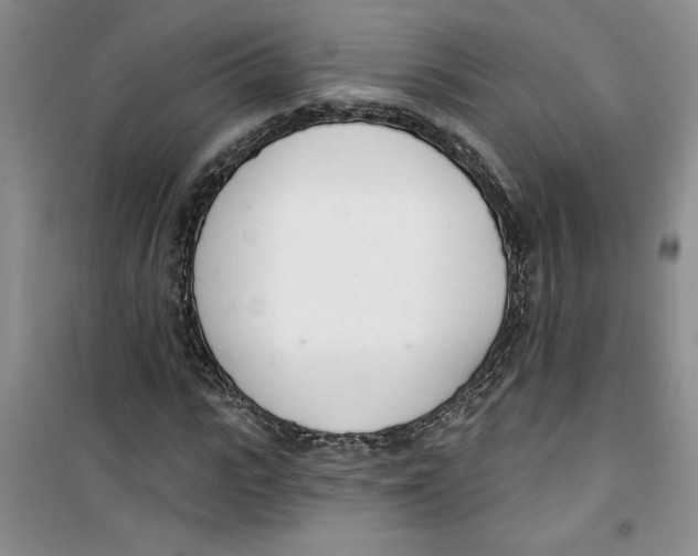 X0000100960919200807221141