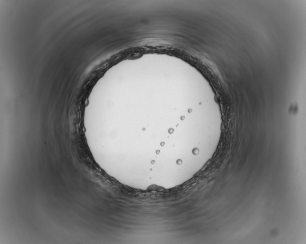 X0000100960920200807221141