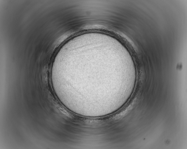 X0000100960921200807221141