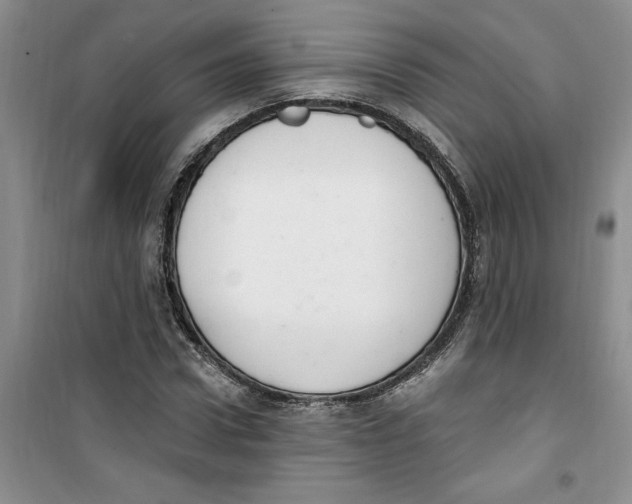 X0000100960922200807221141