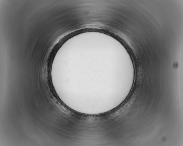 X0000100960923200807221141