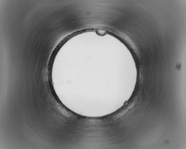 X0000100960924200807221141