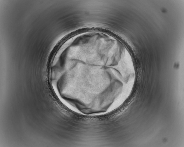 X0000100960927200807221141