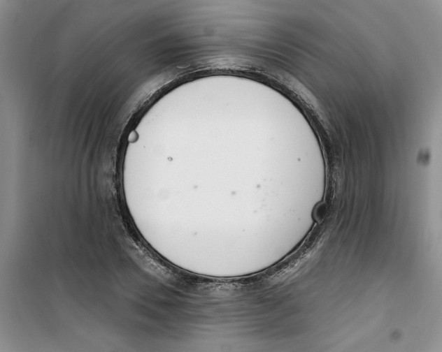 X0000100960930200807221141