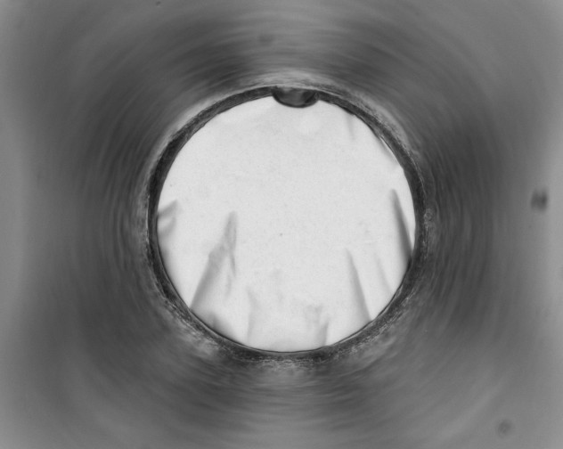 X0000100960931200807221141