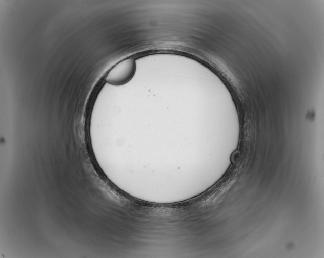 X0000100960932200807221141