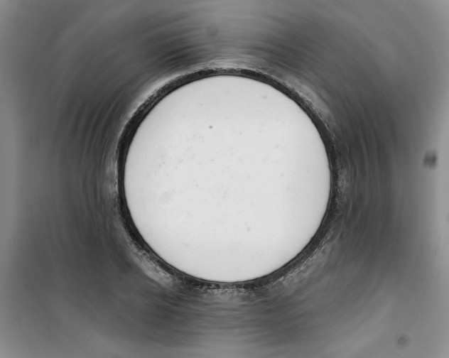 X0000100960934200807221141