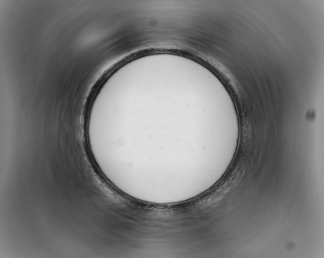 X0000100960935200807221141