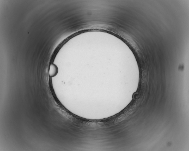 X0000100960936200807221141