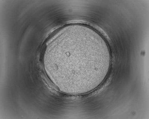 X0000100960937200807221141