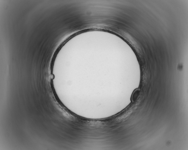 X0000100960940200807221141