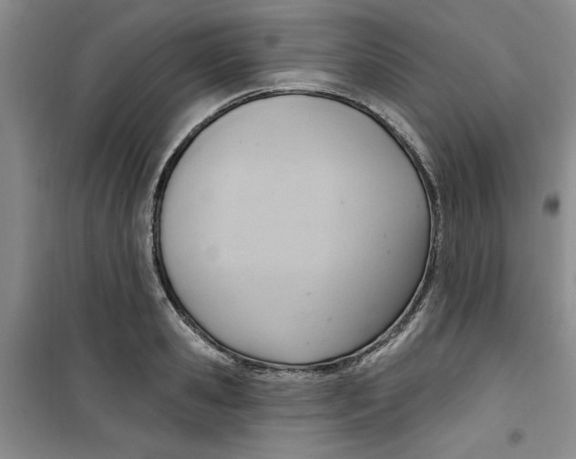 X0000100960941200807221141