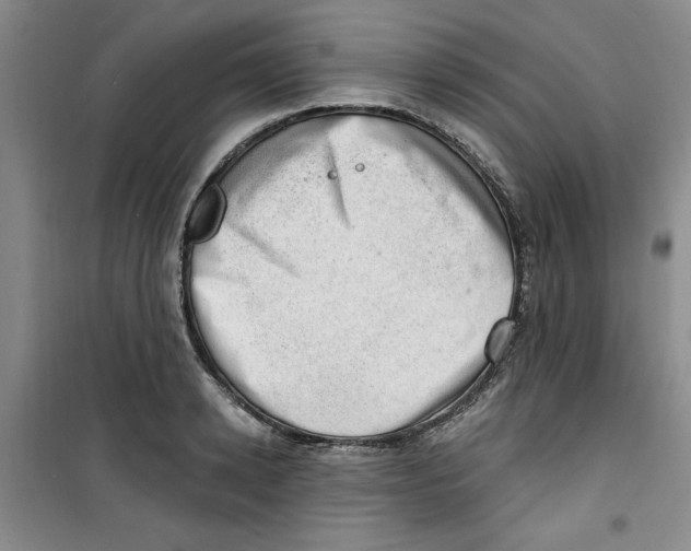 X0000100960942200807221141