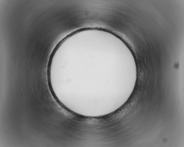 X0000100960943200807221141