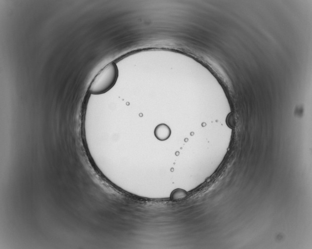 X0000100960944200807221141