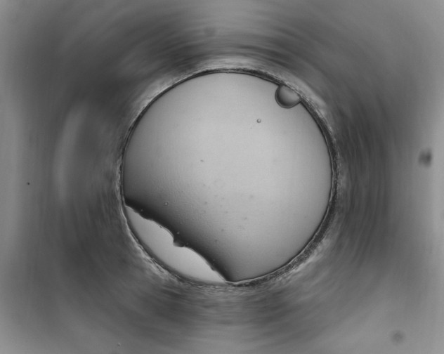 X0000100960945200807221141