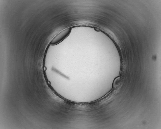 X0000100960946200807221142