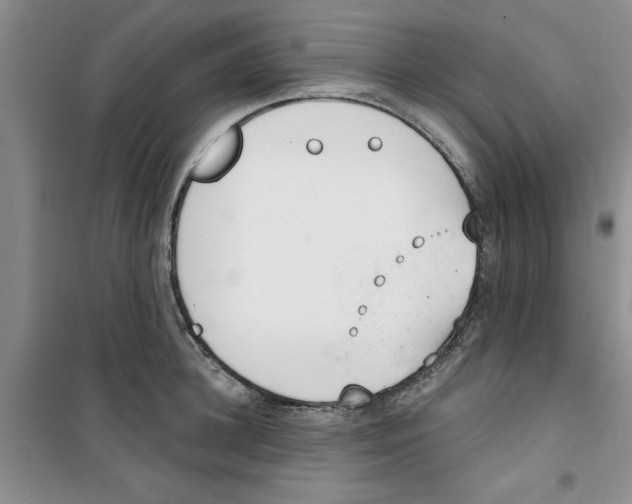 X0000100960948200807221142