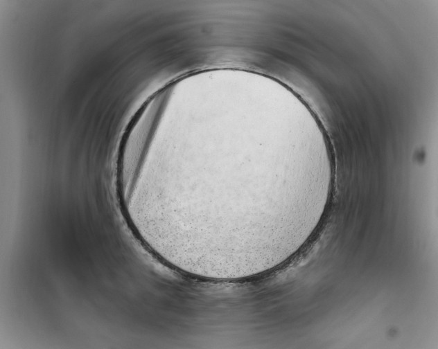 X0000100960949200807221142