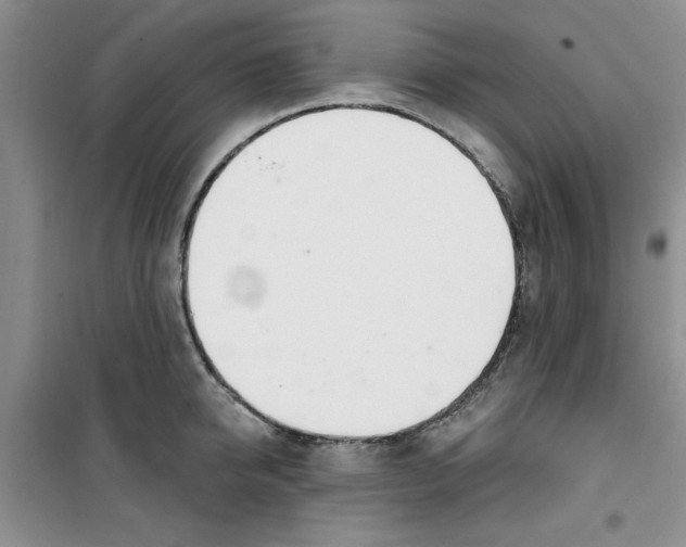 X0000100960950200807221142