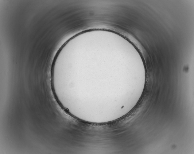 X0000100960951200807221142