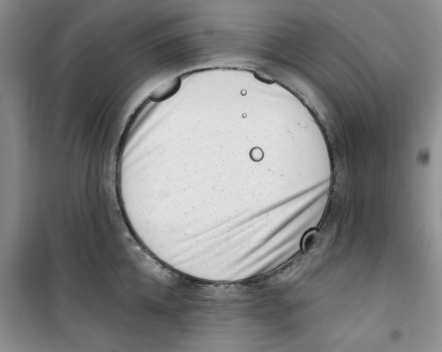 X0000100960952200807221142