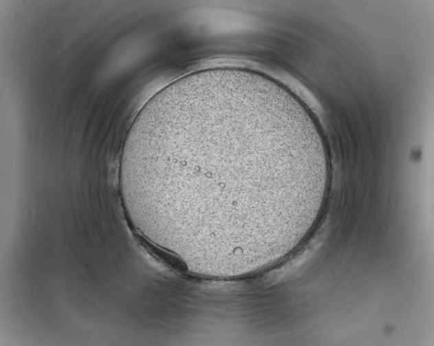 X0000100960953200807221142