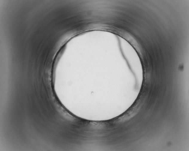 X0000100960954200807221142