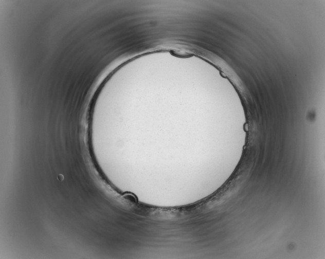 X0000100960955200807221142