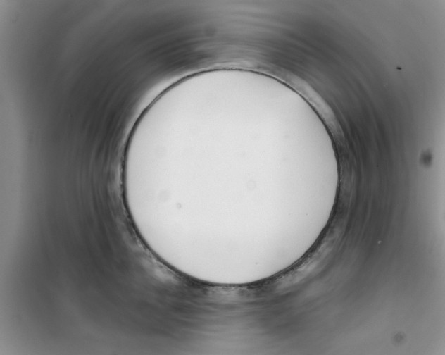 X0000100960956200807221142