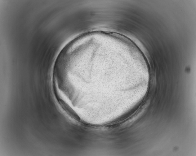 X0000100960957200807221142