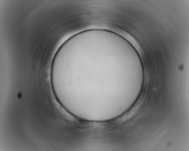 X0000100960958200807221142