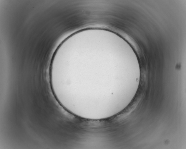 X0000100960959200807221142