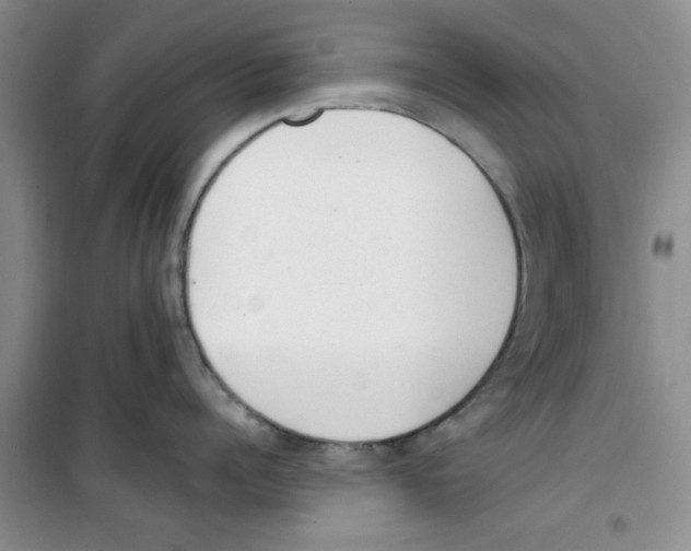 X0000100960960200807221142