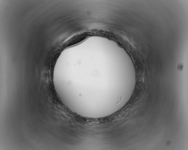 X0000100960965200807221141