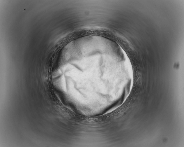 X0000100960966200807221141