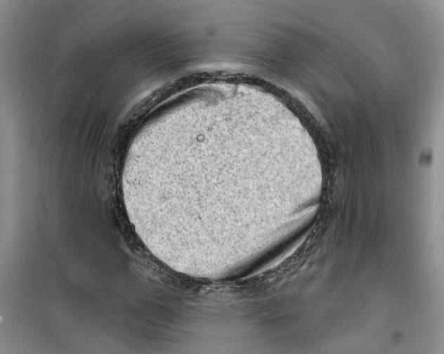 X0000100960967200807221141